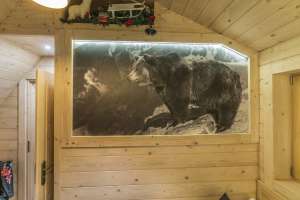 Domek góralski Zakopane