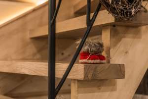 Domek góralski Zakopane